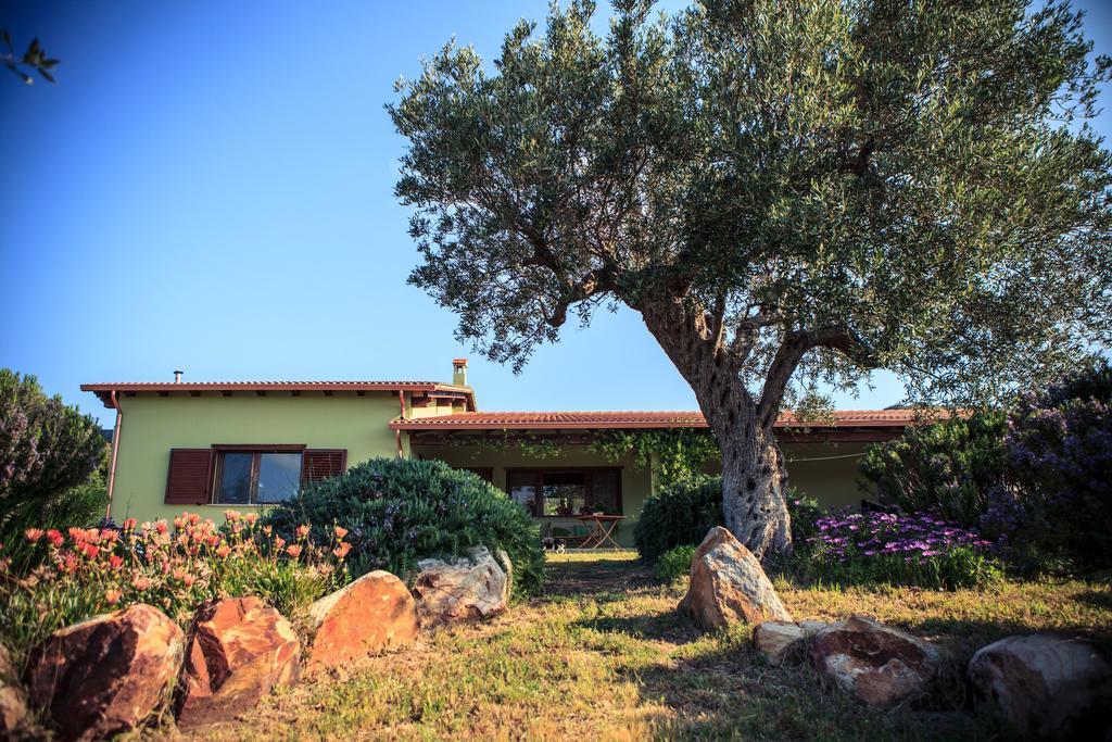 Agriturismo Il Ginepro Fluminimaggiore Exterior foto